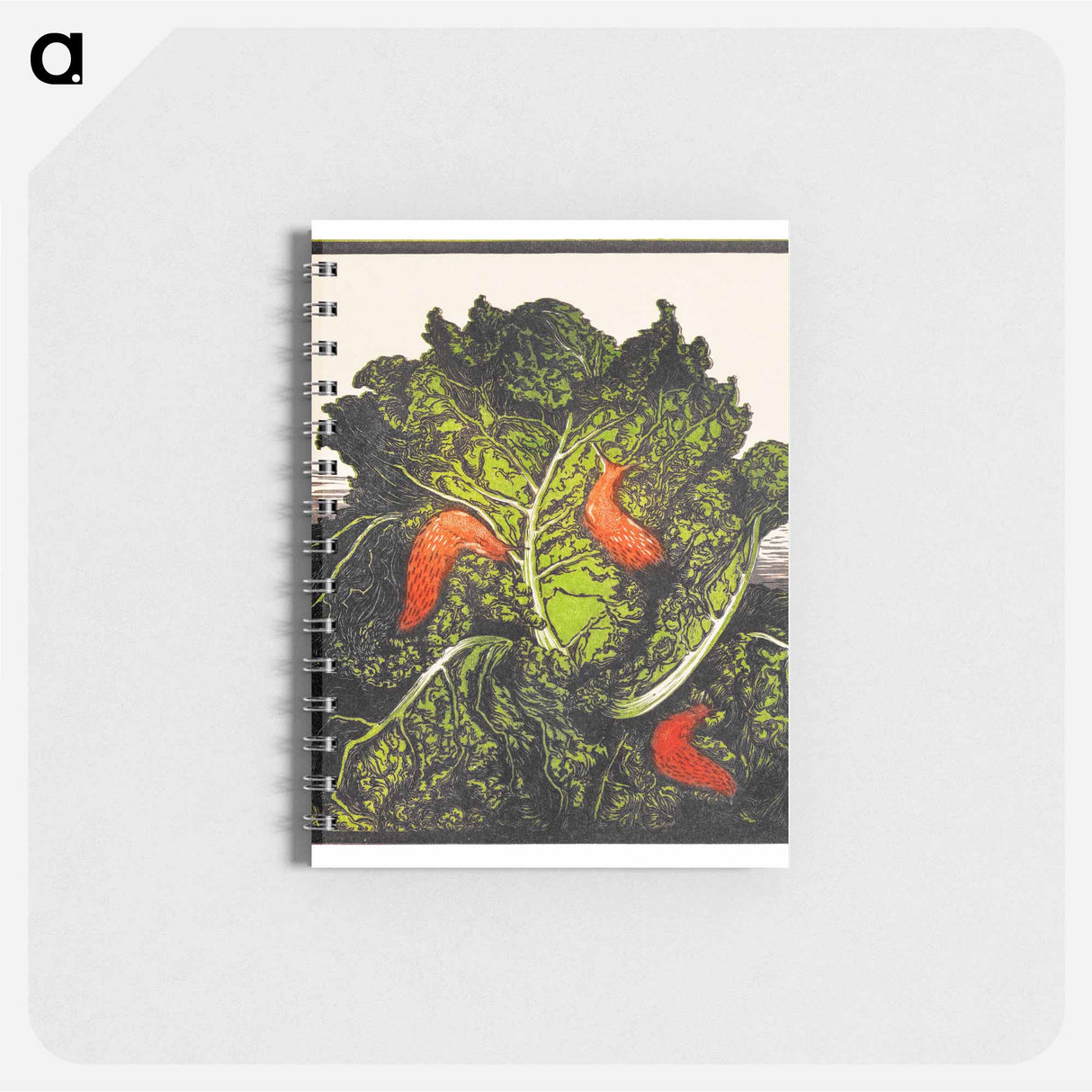 Three slugs on a cabbage - ユリー デ フラーハ Memo.