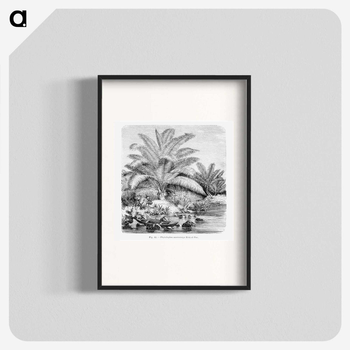 1-99_Les-Palmiers-Histoire-Iconographique_blk