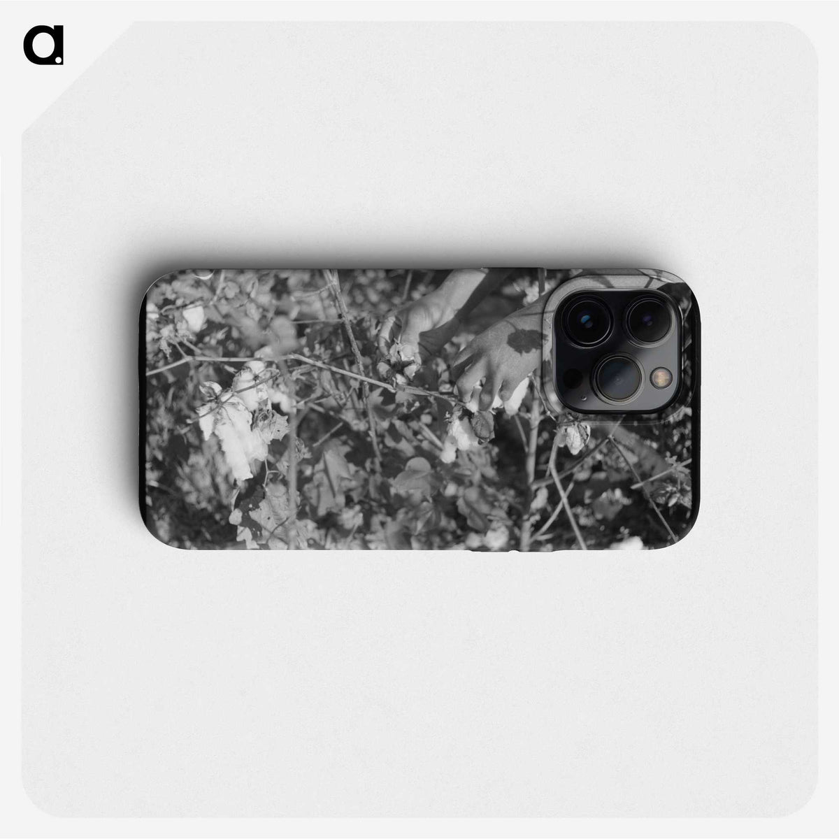 1-99_Marion-Post-Wolcott_phone