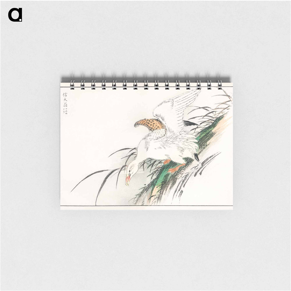 アートメモ帳-Albatross, from Pictorial Monograph of Birds
- 鳥類図鑑 Memo.