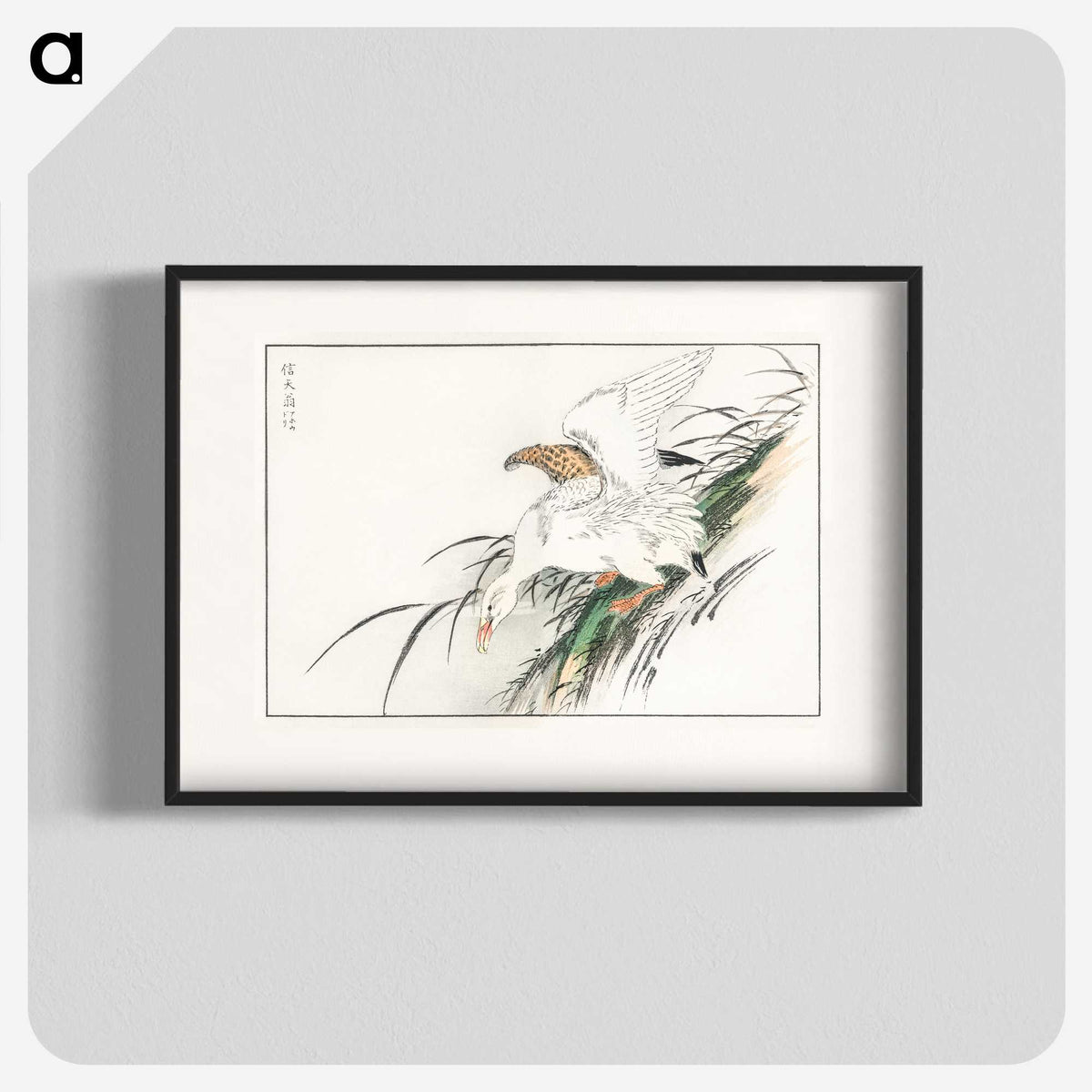 1-99_Pictorial-Monograph-of-Birds_blk