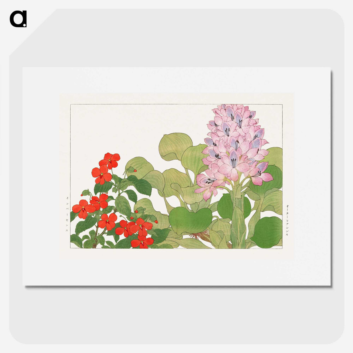1-99_Seiyo-Soka-Zufu_picture
