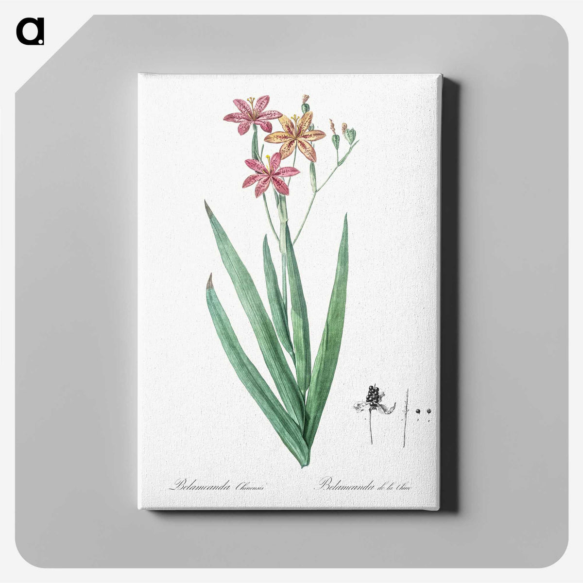 1-99_The-Lilies_canvas
