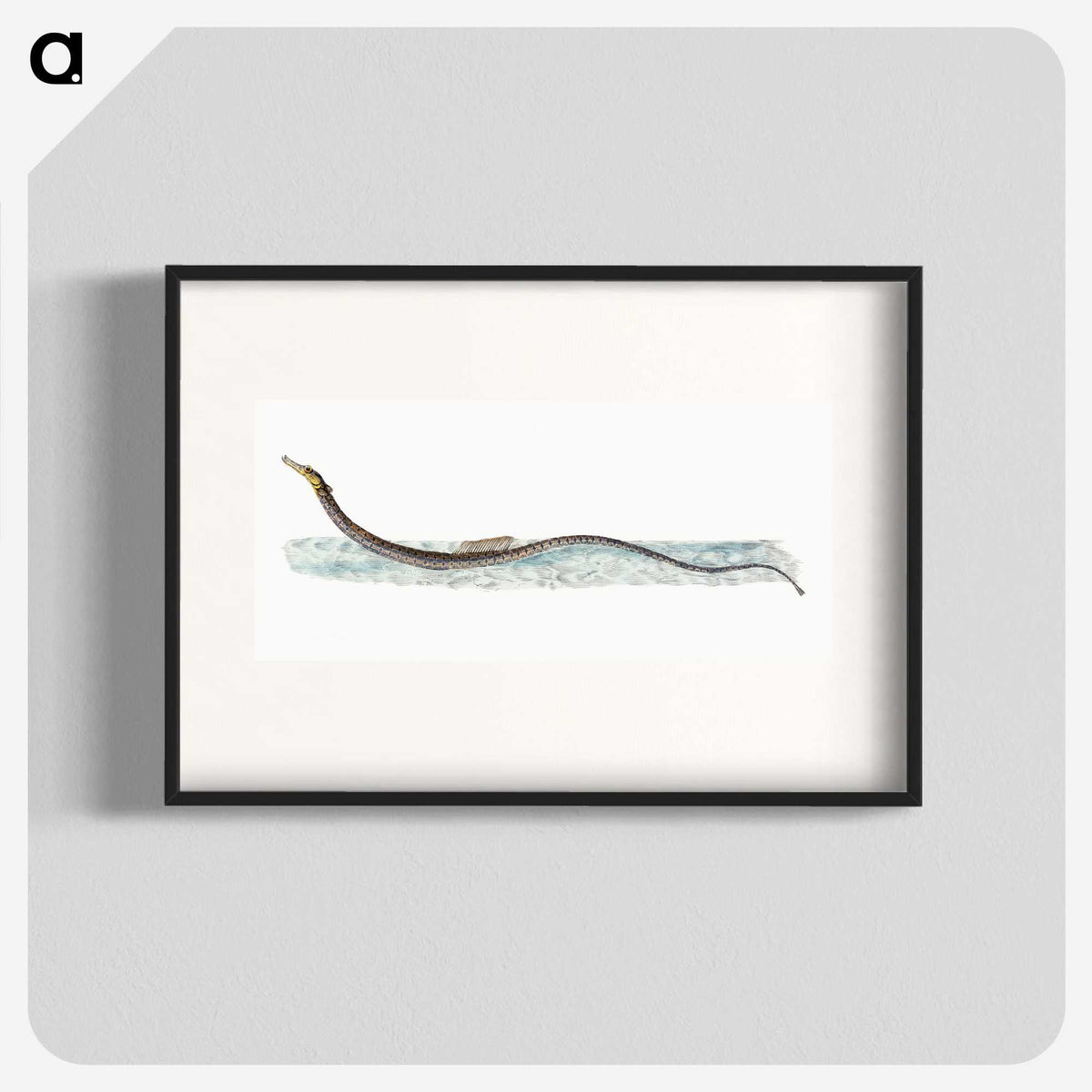 1-99_The-Natural-History-of-British-Fishes_blk