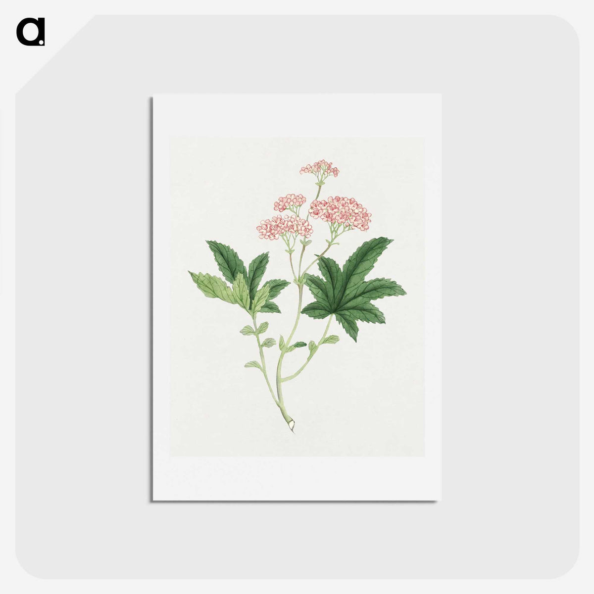 1-9_19th-Century-Japanese-Flowers_hagaki
