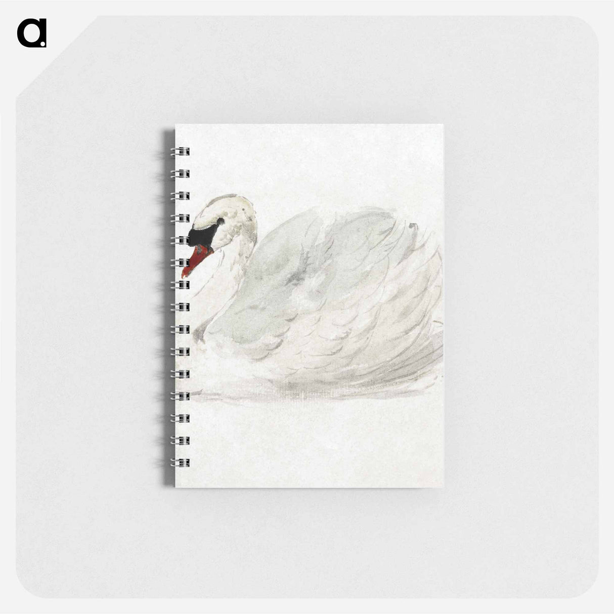 Mute swan - アールト シューマン Memo.