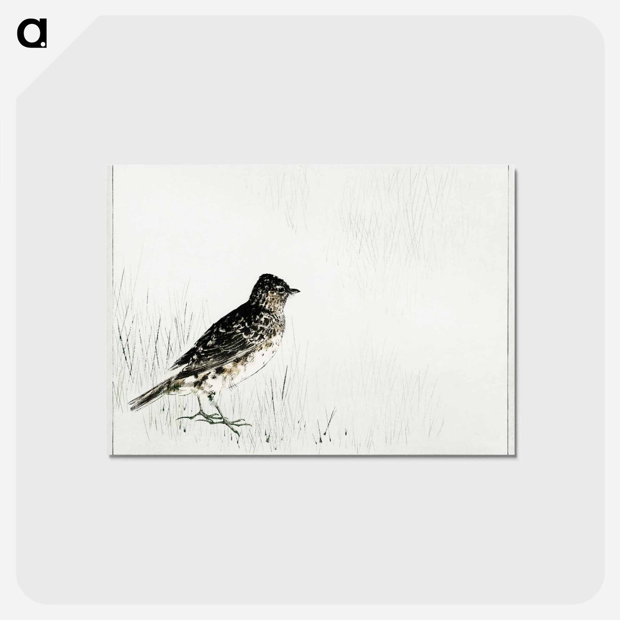 アートポストカード-Skylark Illustration from Bijutsu Sekai
- 美術世界 Postcard.