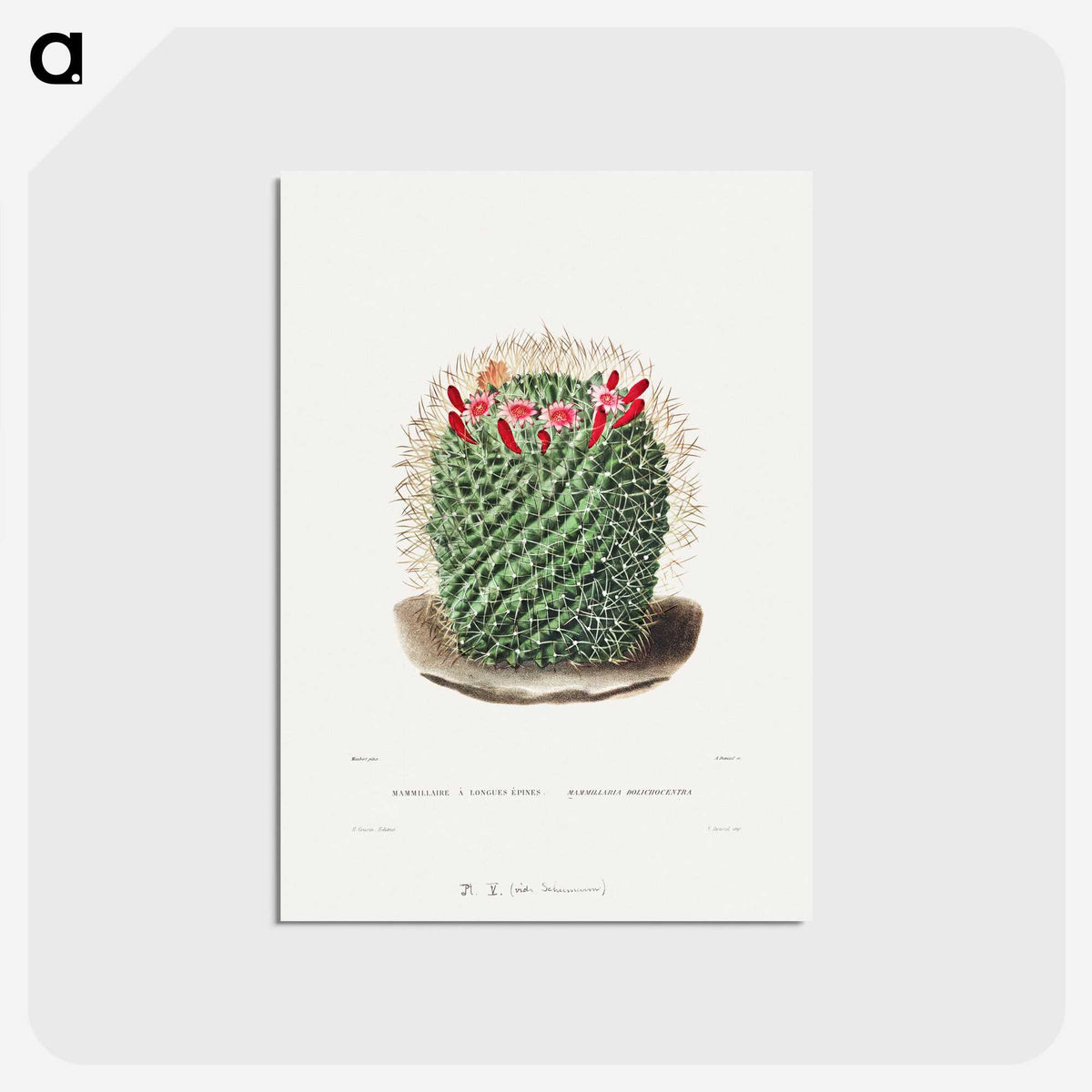 1-9_Charles-Antoine-Lemaire_postcard