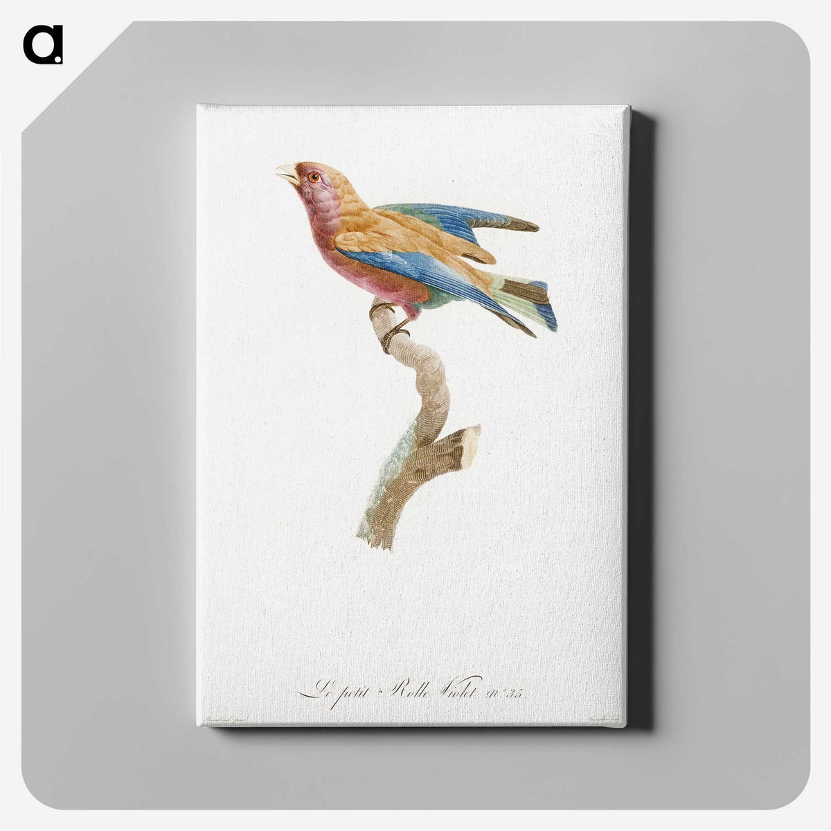 1-9_Des-Oiseaux-de-Paradis_canvas