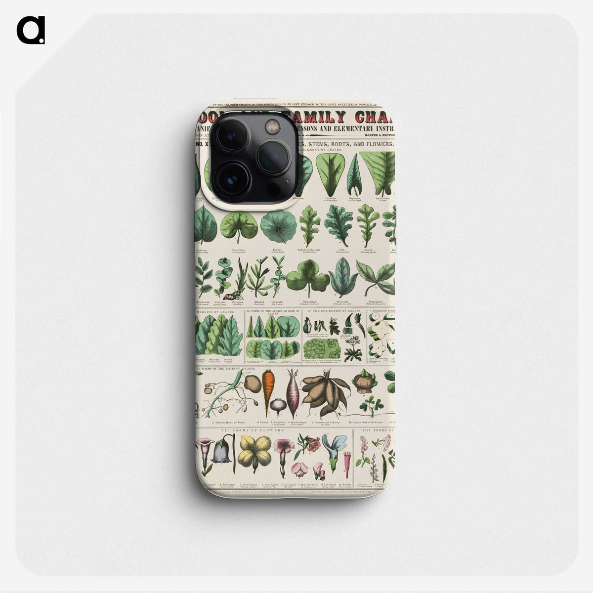1-9_Education-Charts_phone