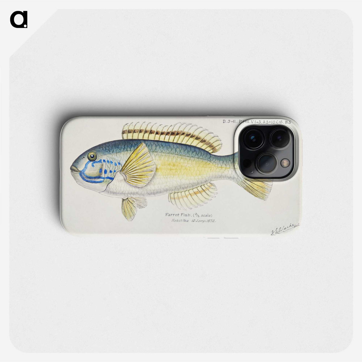 1-9_Frank-Edward-Clarke_phone