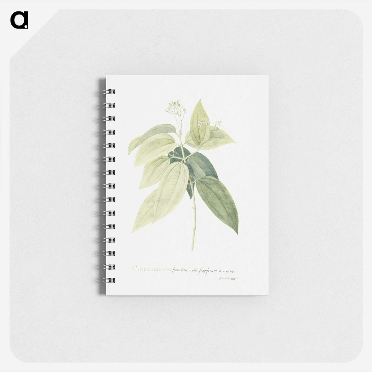 1-9_Georg-Dionysius-Ehret_memo
