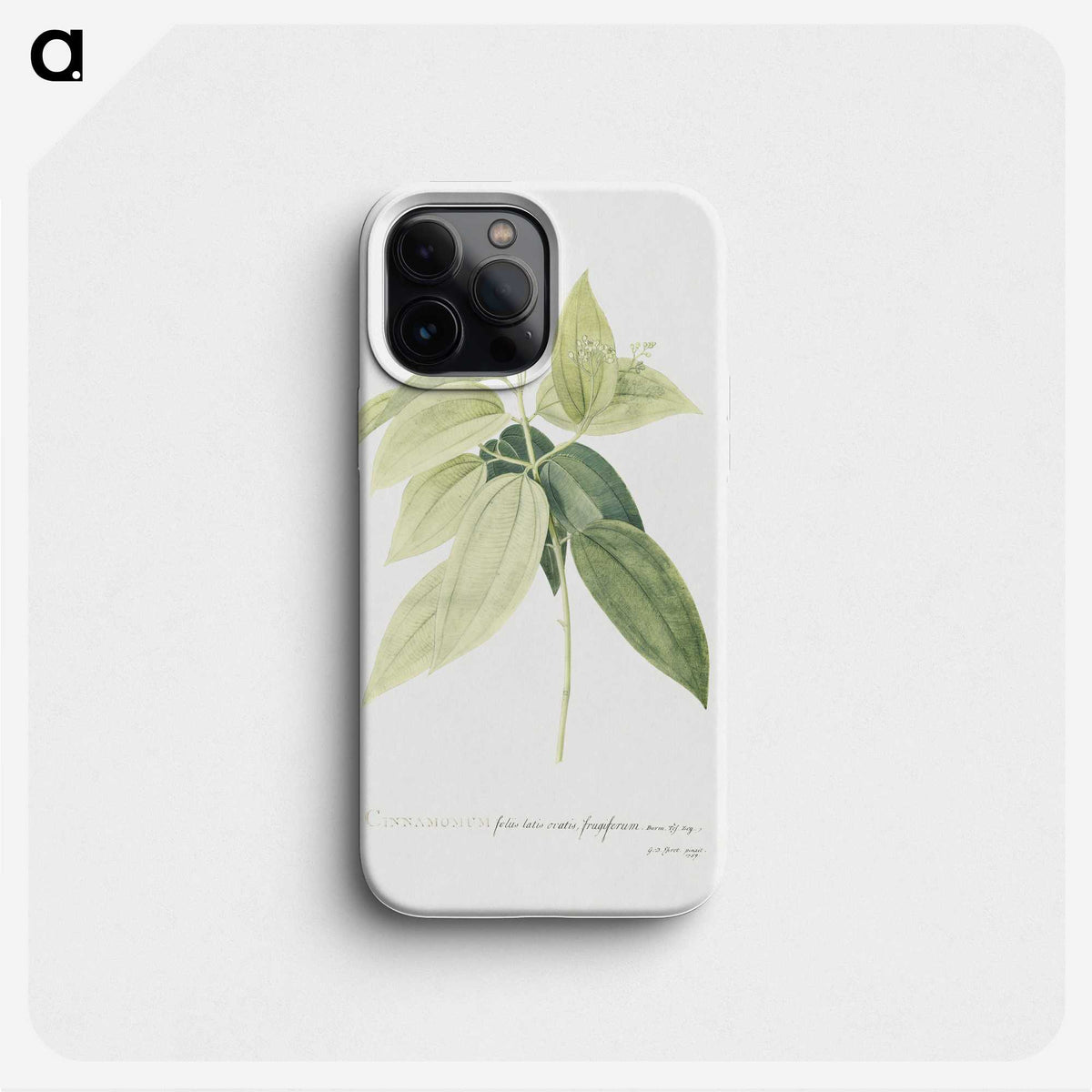 1-9_Georg-Dionysius-Ehret_phone