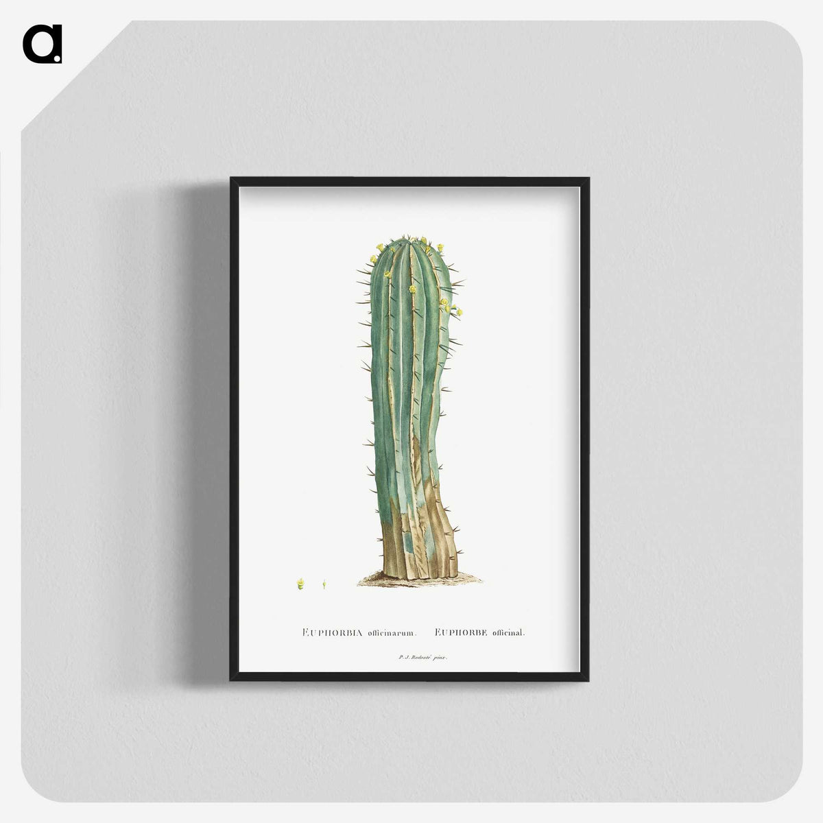 1-9_Histoire-des-Plantes-Grasses_blk-crop