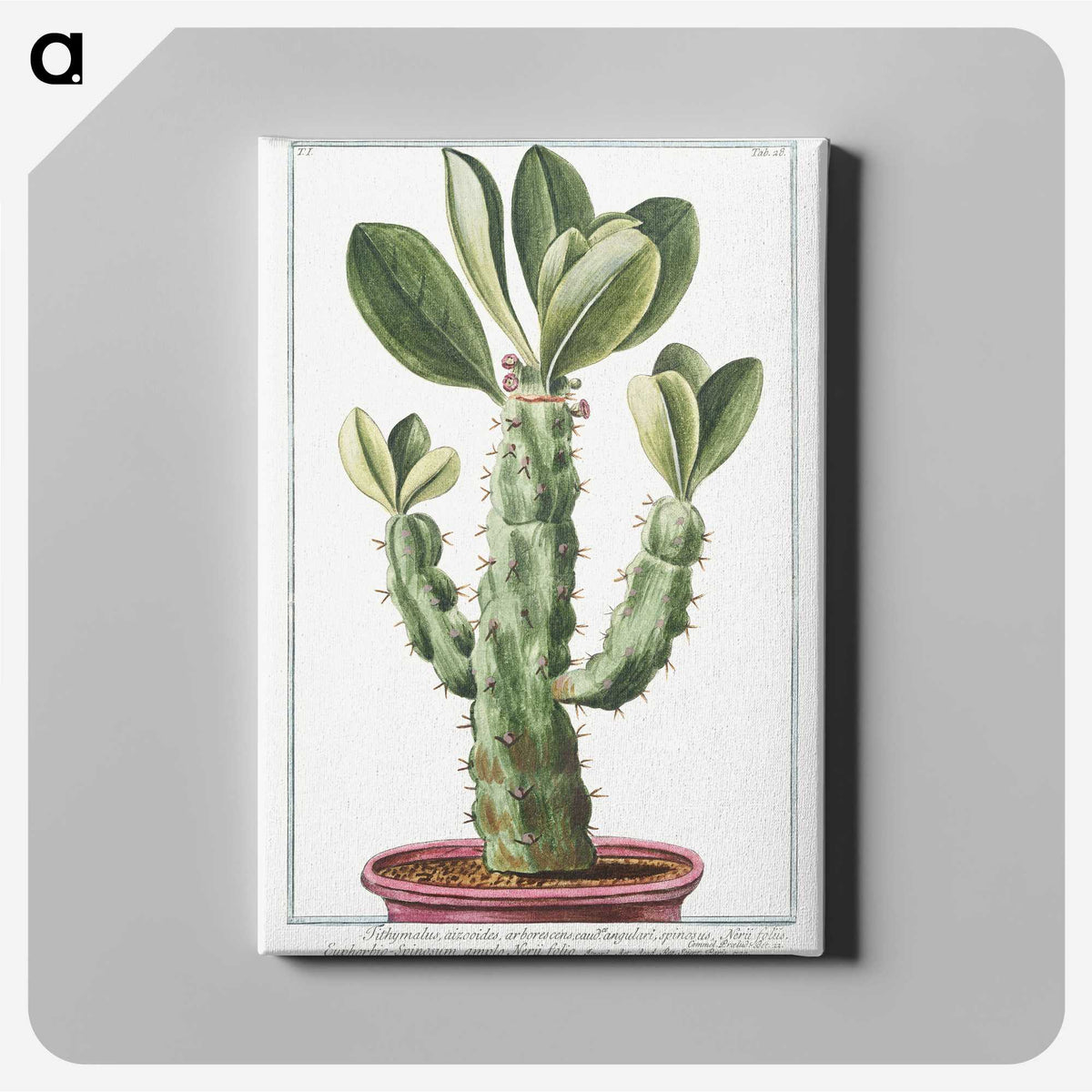 1-9_Hortus-Romanus-Botanical-Plates_canvas