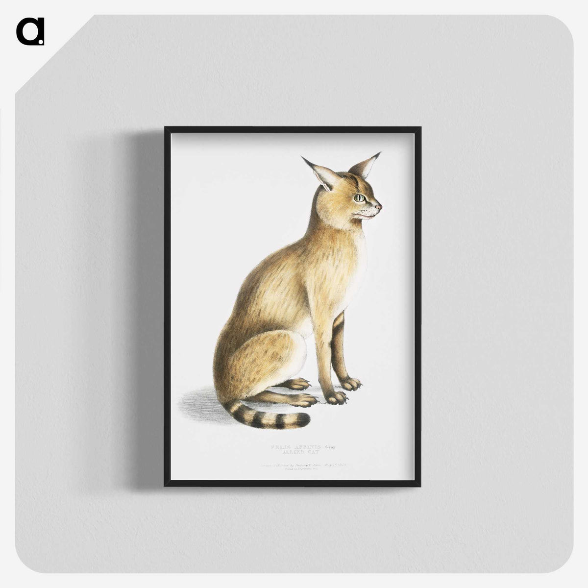 1-9_Indian-Zoology_blk-crop