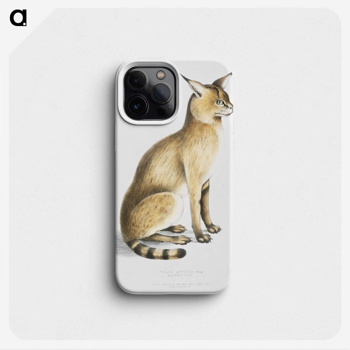 1-9_Indian-Zoology_phone