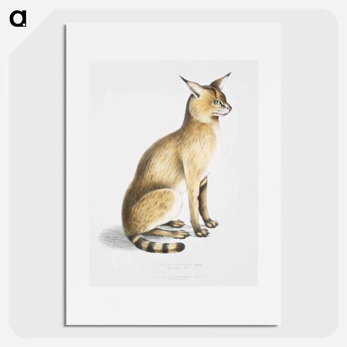 1-9_Indian-Zoology_picture