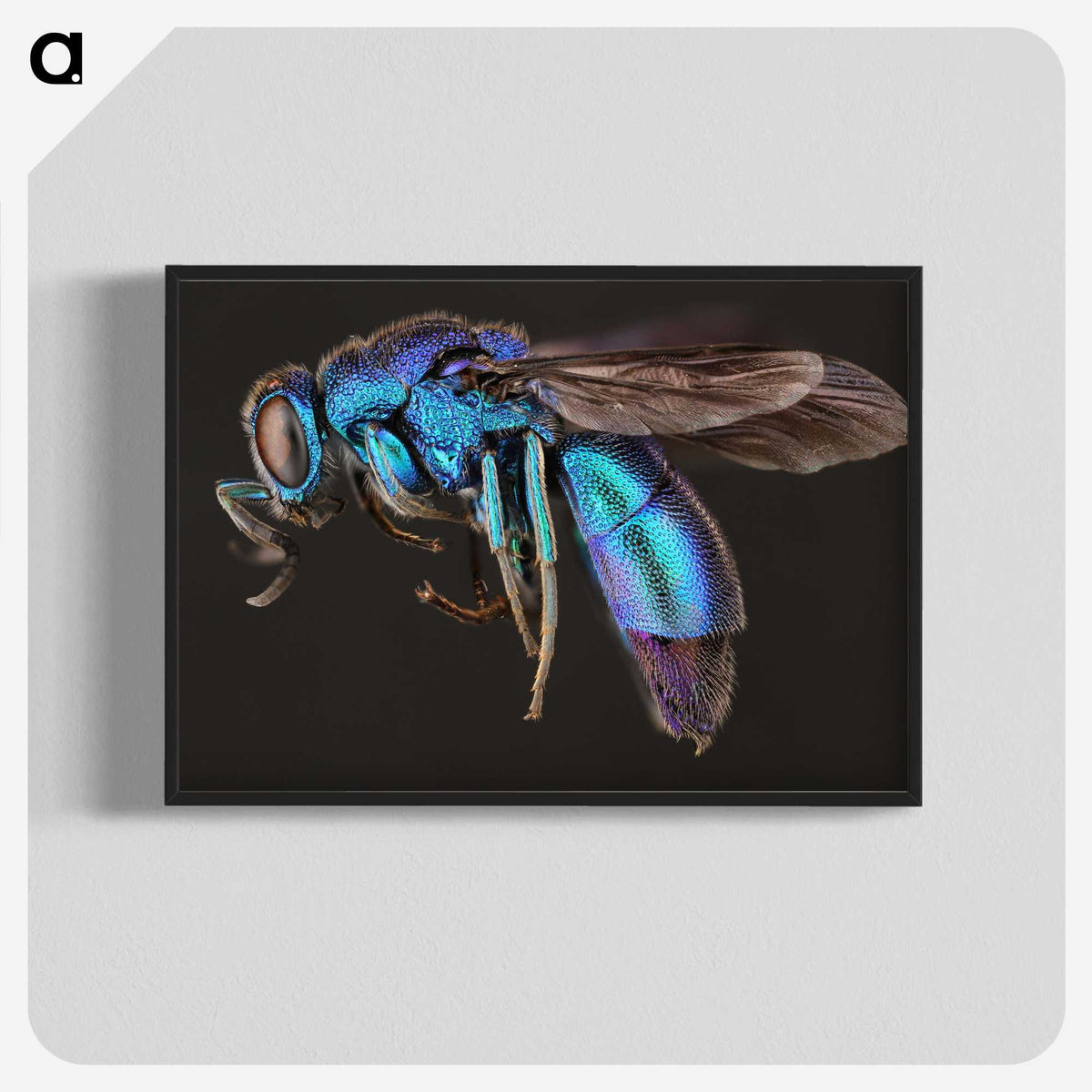 1-9_Insects-Unlocked-Project_blk-crop
