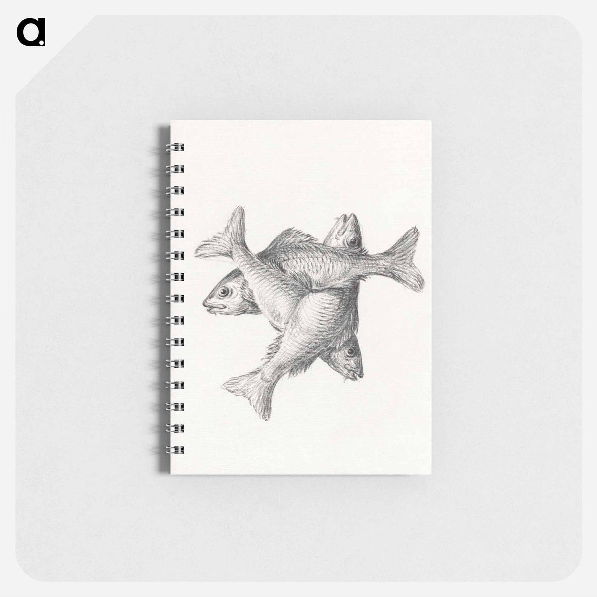 Three fishes - ジャン ベルナール Memo.