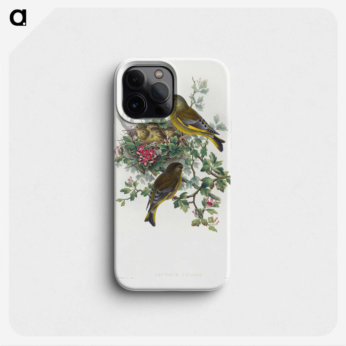 1-9_John-Gould_phone