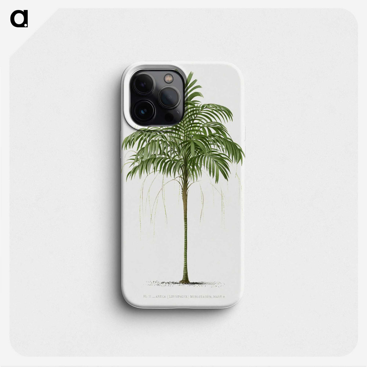 1-9_Les-Palmiers-Histoire-Iconographique_phone