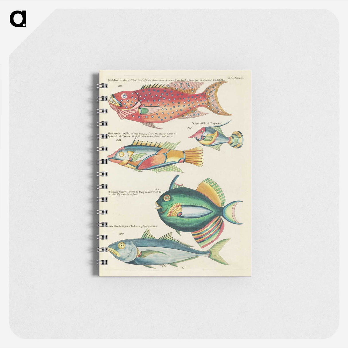 1-9_Louis-Renard_memo