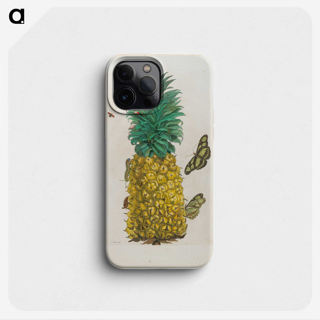 1-9_Maria-Sibylla-Merian_phone