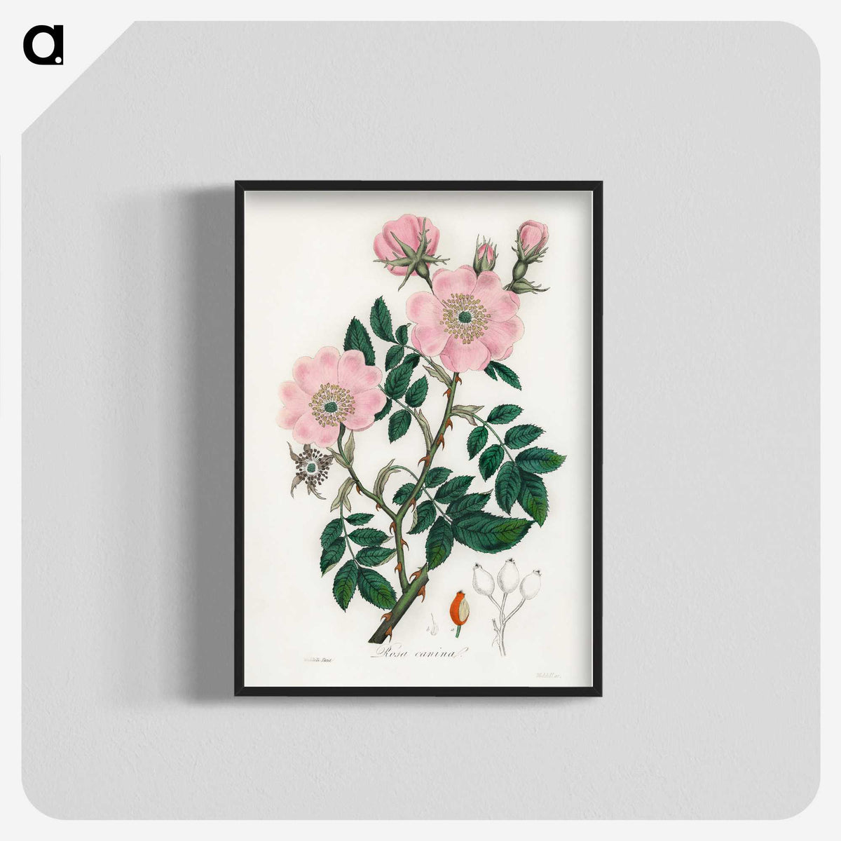 1-9_Medical-Botany_blk-crop