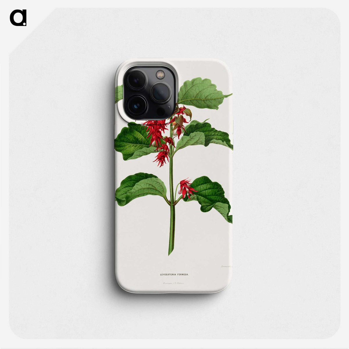 1-9_Nederlandsche-Flora-en-Pomona_phone