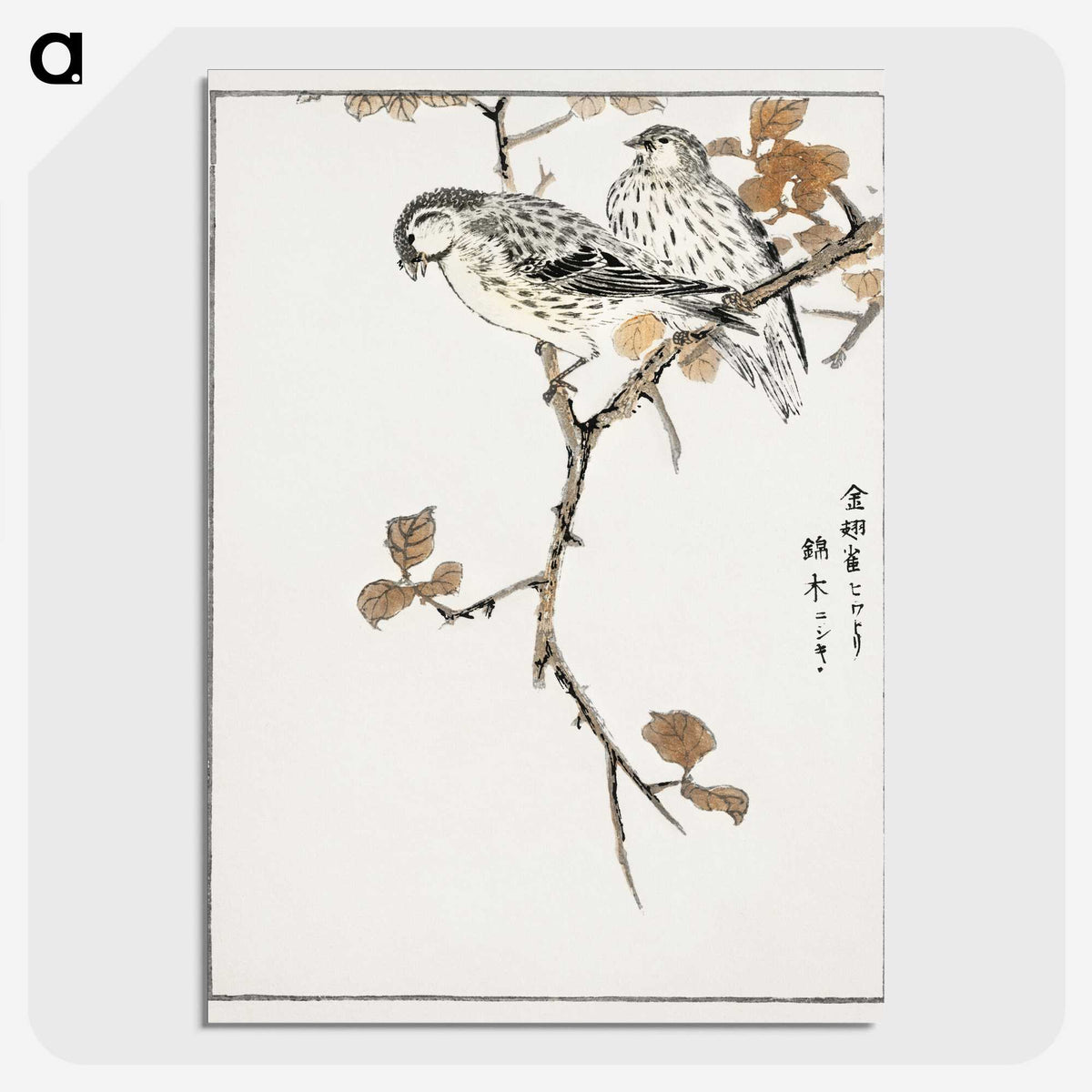 1-9_Pictorial-Monograph-of-Birds_picture-crop