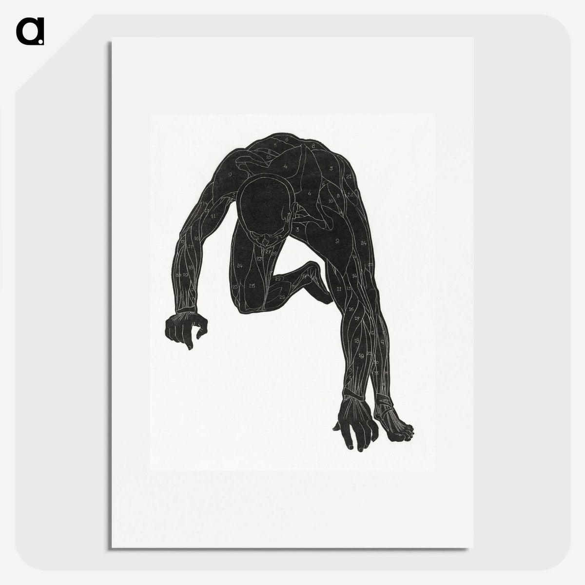 1-9_Reijer-Stolk_picture