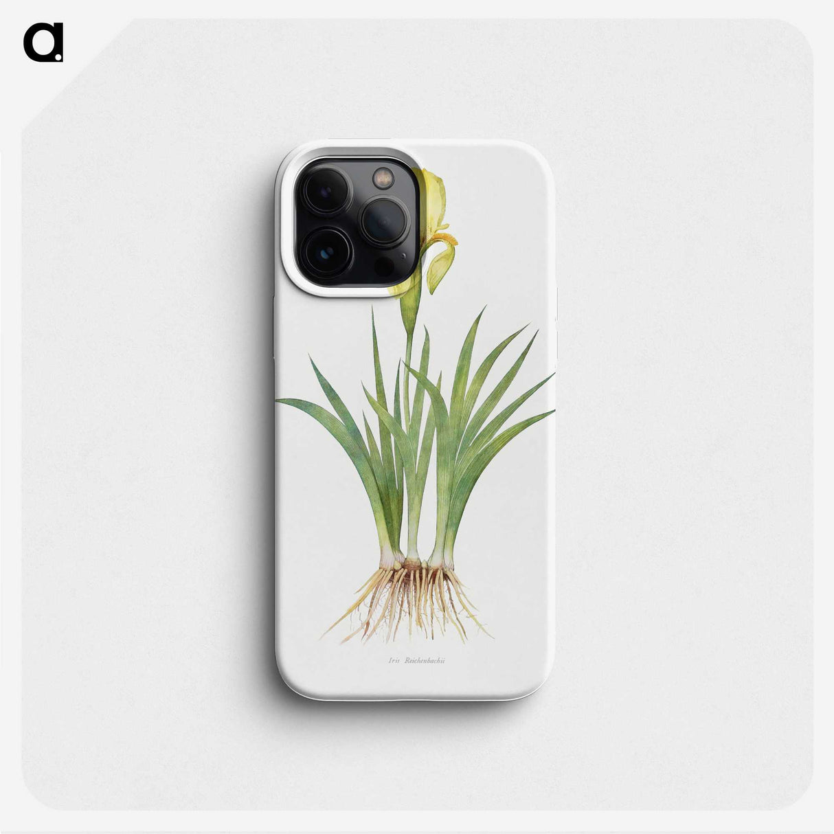 1-9_The-Genus-Iris_phone