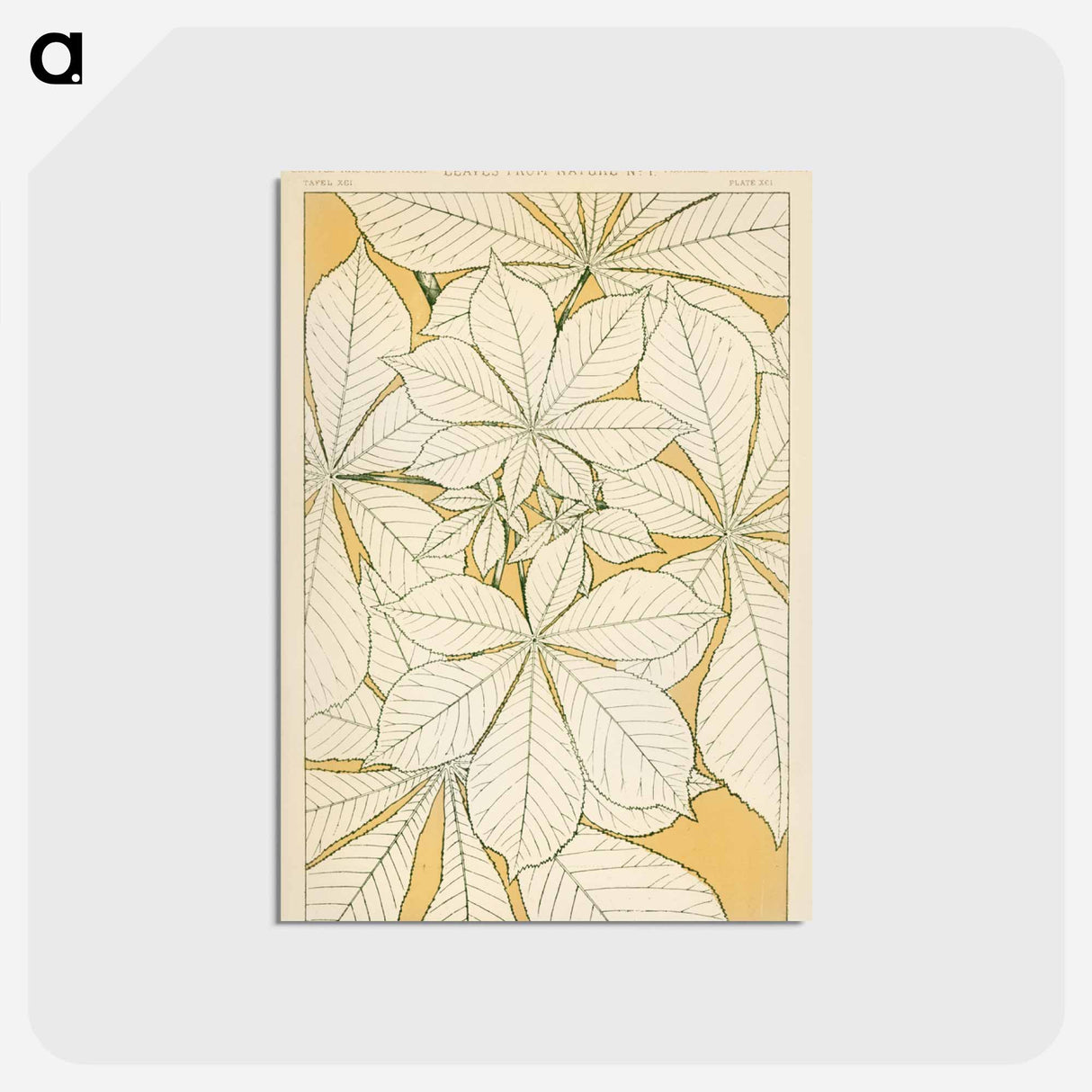 アートポストカード-Nineteenth-Century Ornamental Pattern
- 装飾の文法 Postcard.