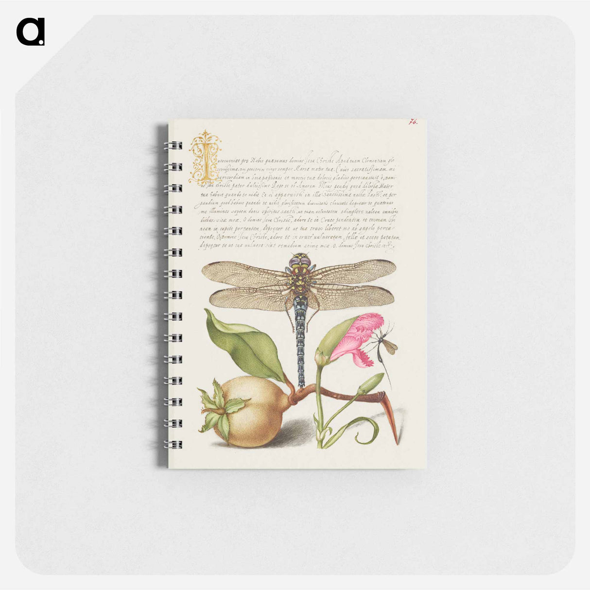 アートメモ帳-Dragonfly, Pear, Carnation, and Insect
- 書道のお手本 Memo.
