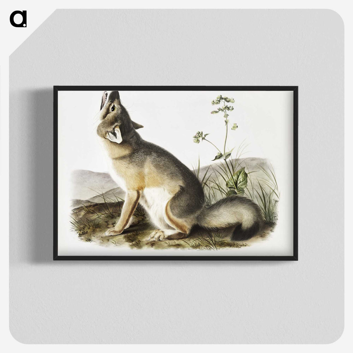 1-9_The-Viviparous-Quadrupeds_blk-crop