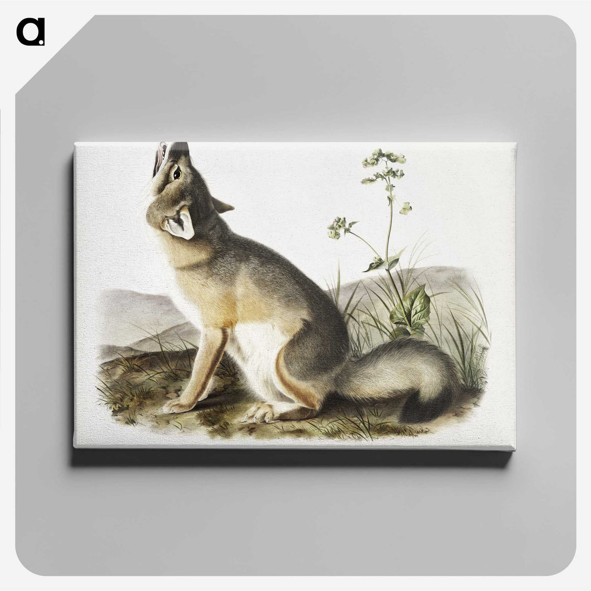 1-9_The-Viviparous-Quadrupeds_canvas