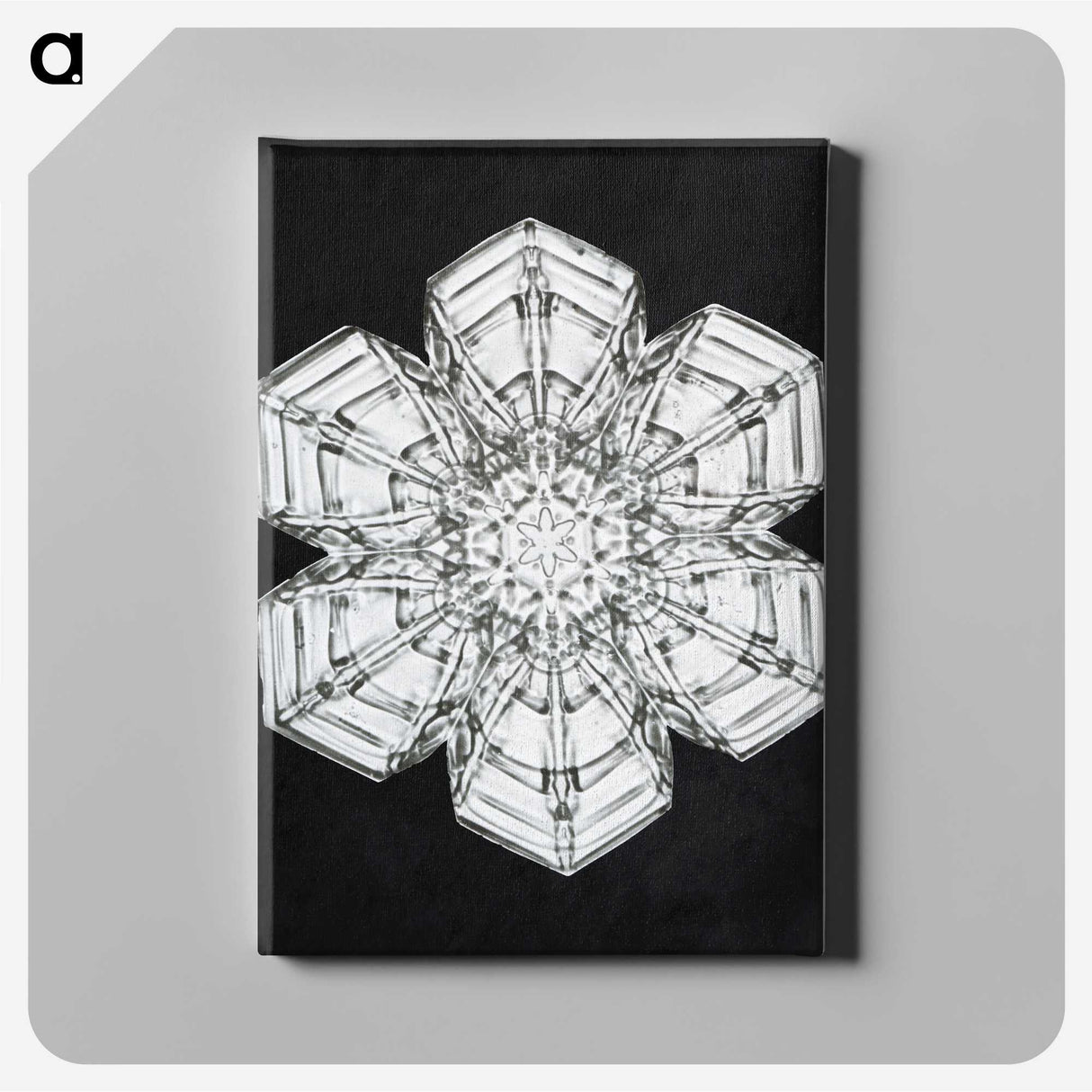 1-9_Wilson-Bentley_canvas