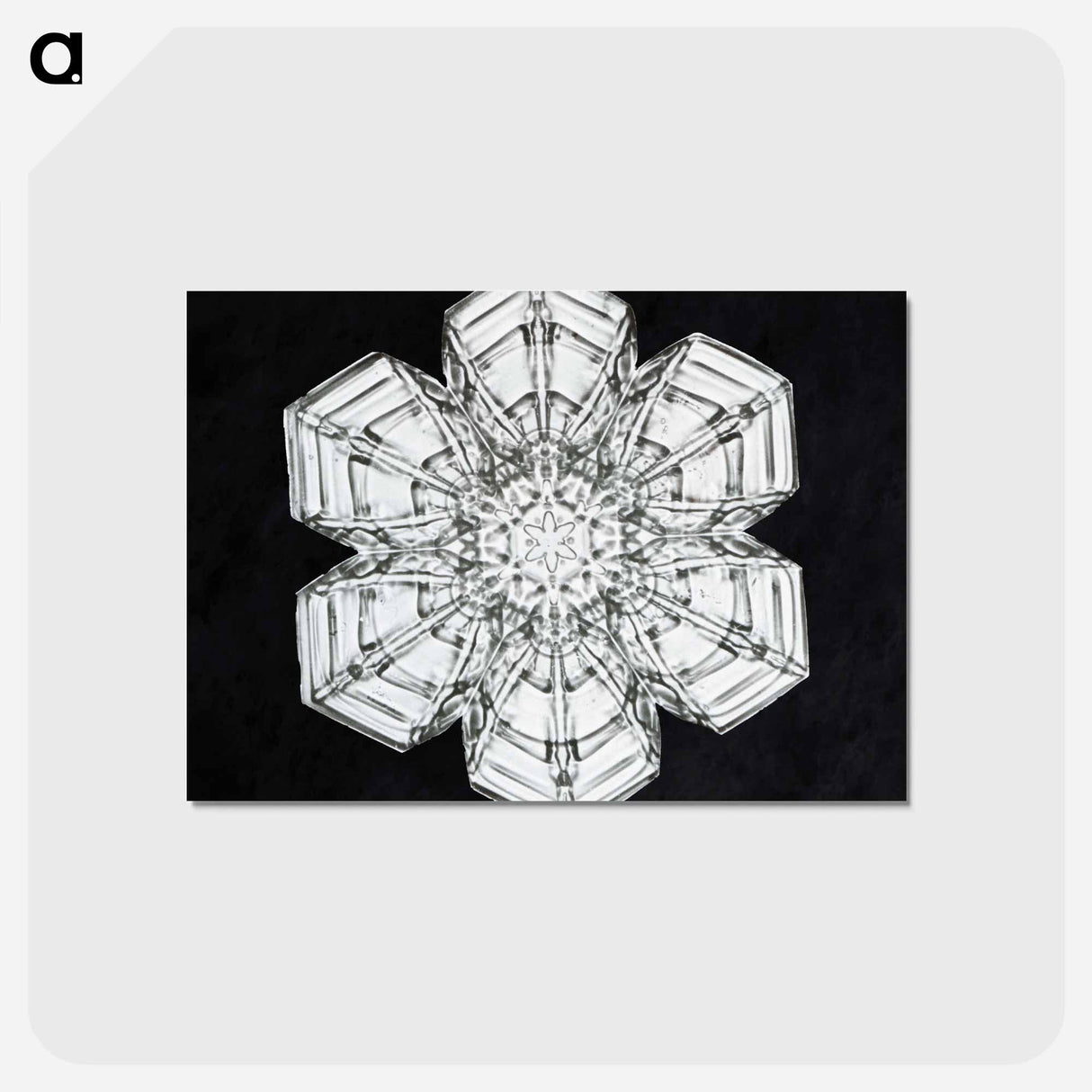 アートポストカード-Wilson Bentley's Snowflake 10 - ウィルソン ベントレー Postcard.