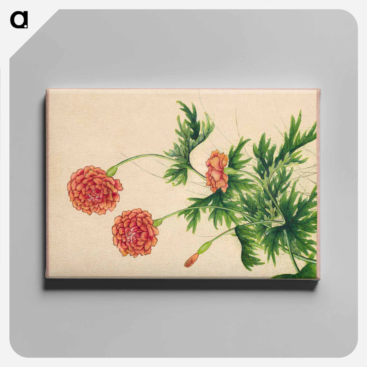 Peony - Zhang Ruoai Canvas.