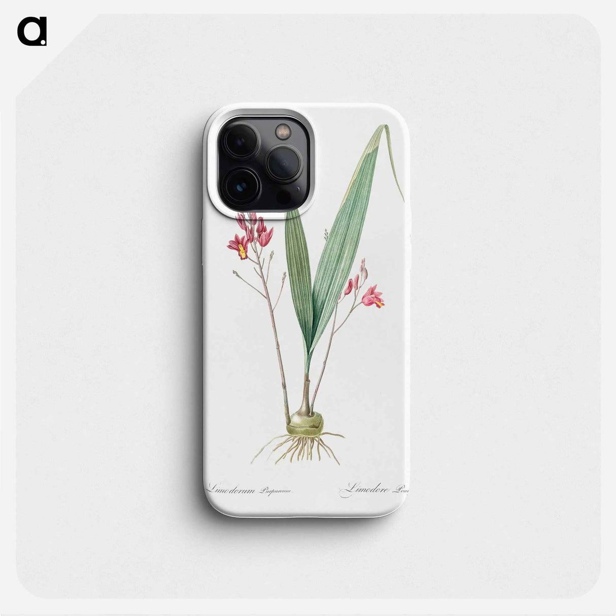 Pine pink illustration - ピエール ジョゼフ ルドゥーテ Phone Case.