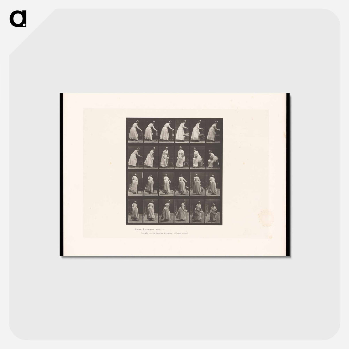 アートポストカード-Woman Moving a Chair
- エドワード マイブリッジ Postcard.
