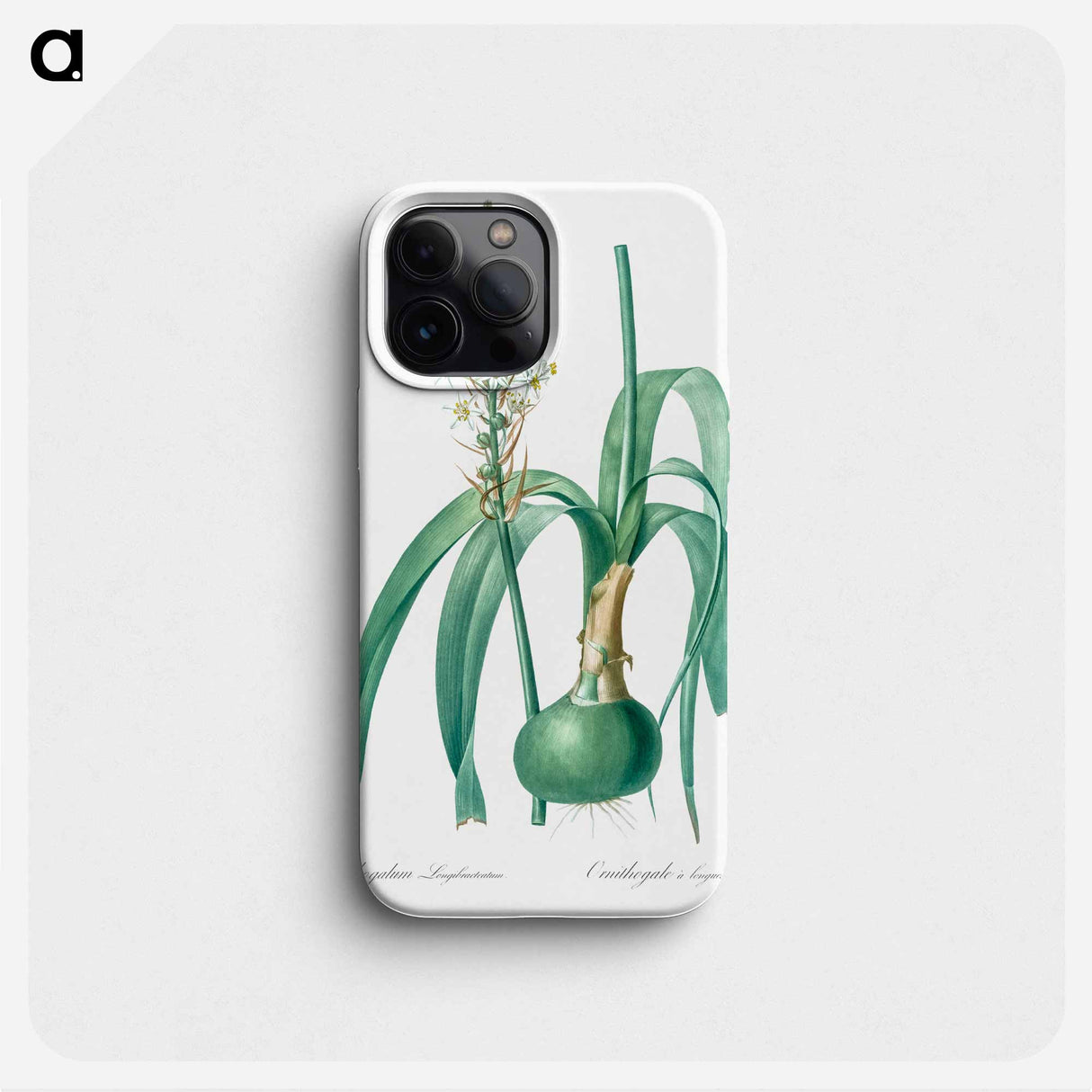 Pregnant onion illustration - ピエール ジョゼフ ルドゥーテ Phone Case.