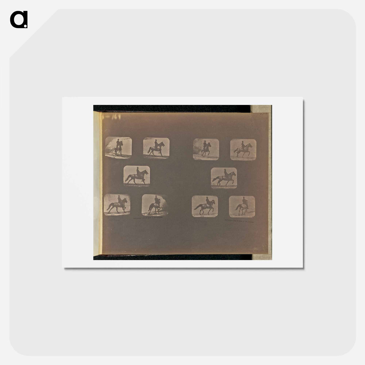 アートポストカード-Trotting
- エドワード マイブリッジ Postcard.