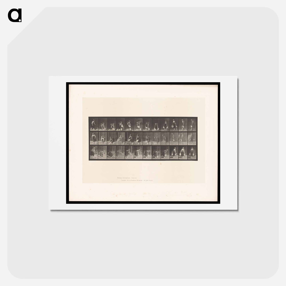 アートポストカード-The Basin and Jug
- エドワード マイブリッジ Postcard.