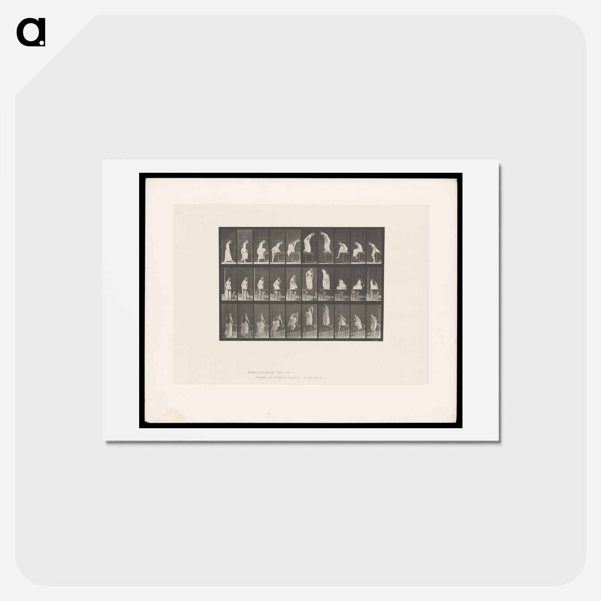 アートポストカード-Woman on Table
- エドワード マイブリッジ Postcard.