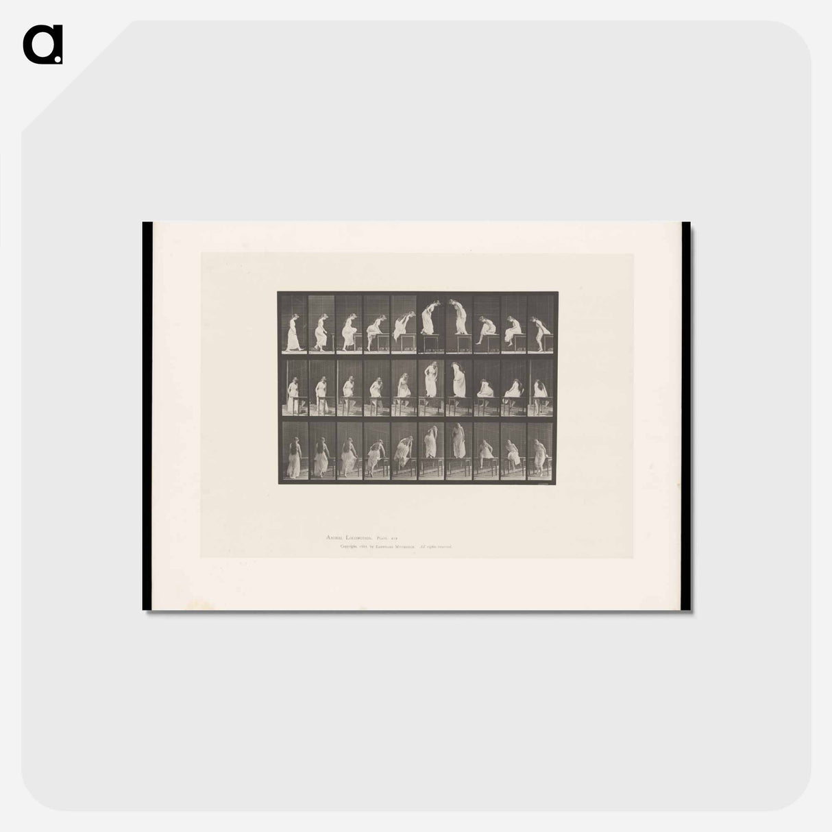 アートポストカード-Woman on Table
- エドワード マイブリッジ Postcard.