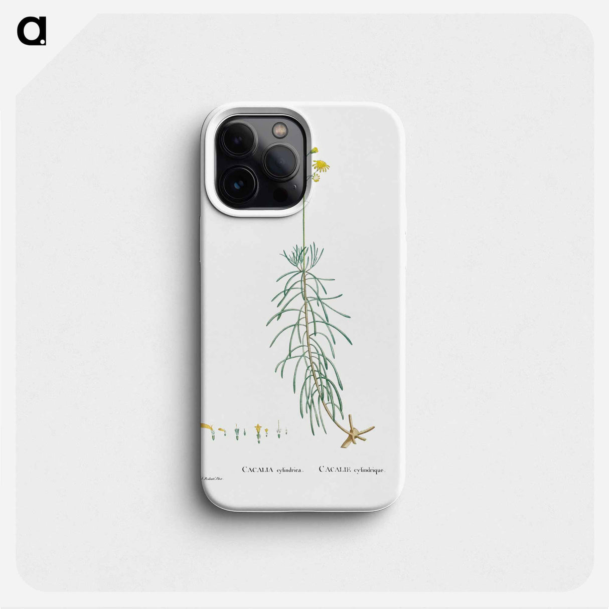 Cacalia Cylindrica - ピエール ジョゼフ ルドゥーテ Phone Case.