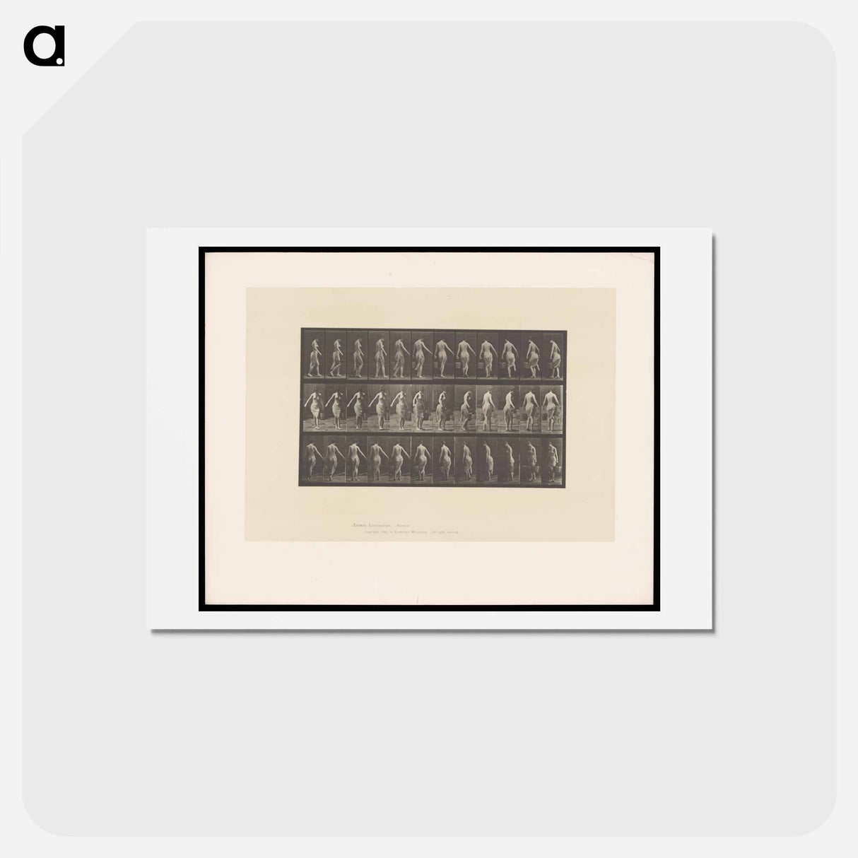 アートポストカード-Naked Woman Walking
- エドワード マイブリッジ Postcard.