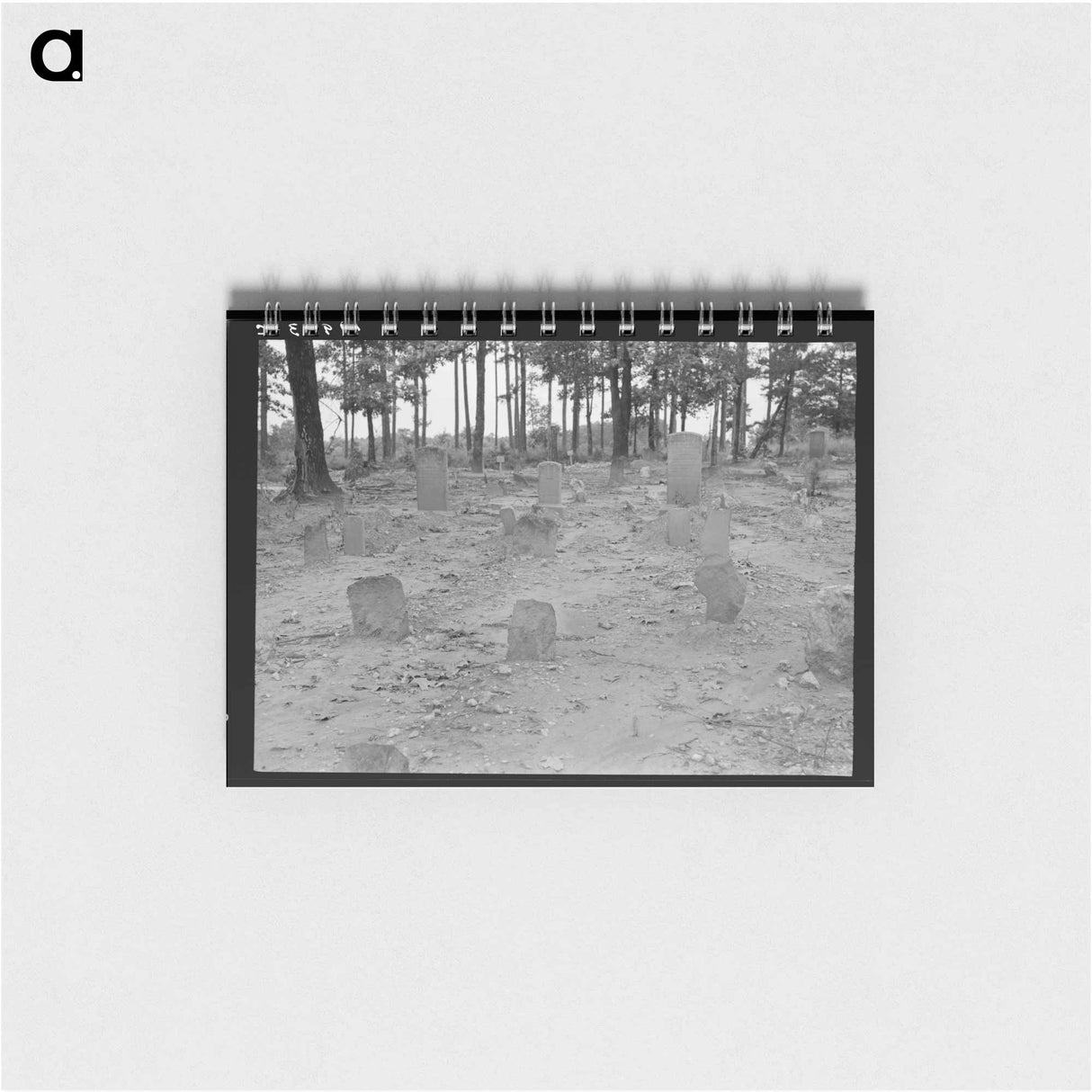 アートメモ帳-A red clay cemetery - ドロテア ラング Memo.